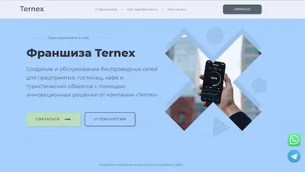 Ternex франшиза